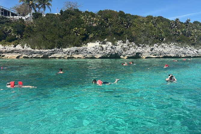 Catamaran Snorkel & Beach Day with Turtles - Timing, fitness, and practical details