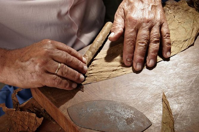 Cigar Rolling Lesson in Nassau - Key points to know before booking