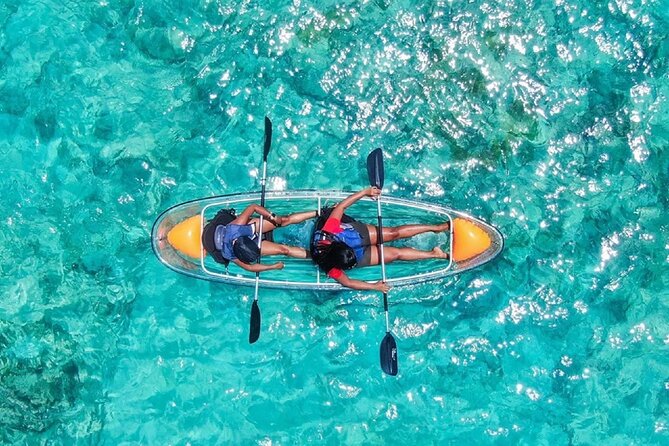 Clear Kayak Tour - Key points to know before booking