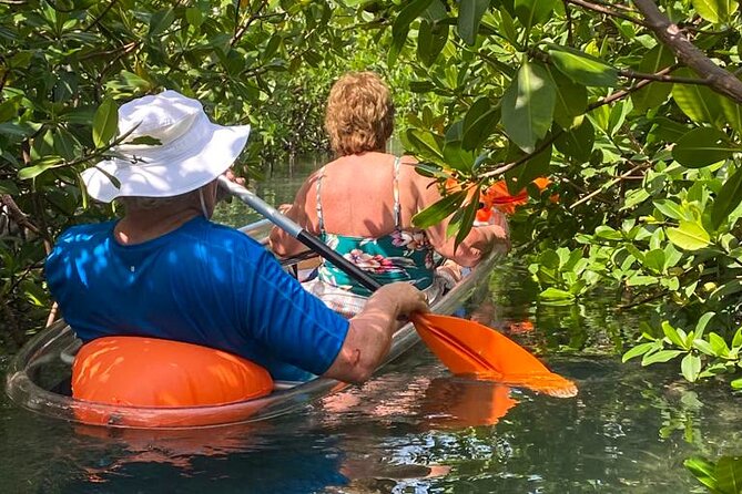 Clear Kayak Tour - The beach break, lunch, and soda
