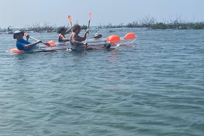 Clear Kayak Tour - Is $120 a fair price?