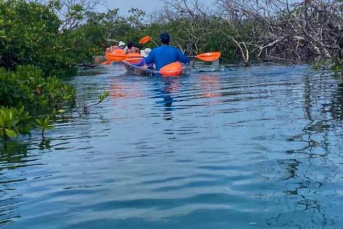 Clear Kayak Tour - Starting at Port Lucaya Marketplace at 9:30 a.m.