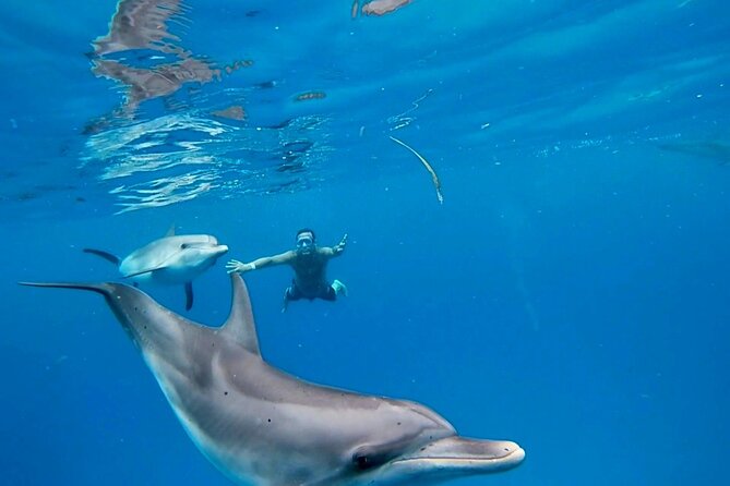 Create-Your-Own Luxury Adventure in Bimini with photographer - Key points to know before booking
