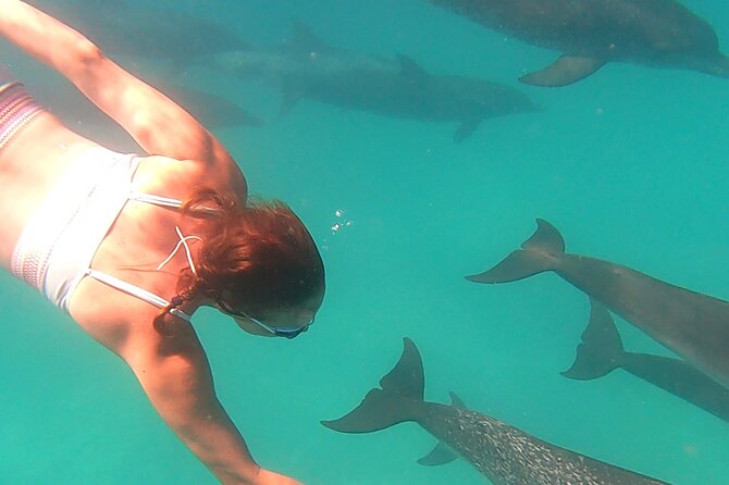Create-Your-Own Luxury Adventure in Bimini with photographer - Weather and the limits of a wild encounter