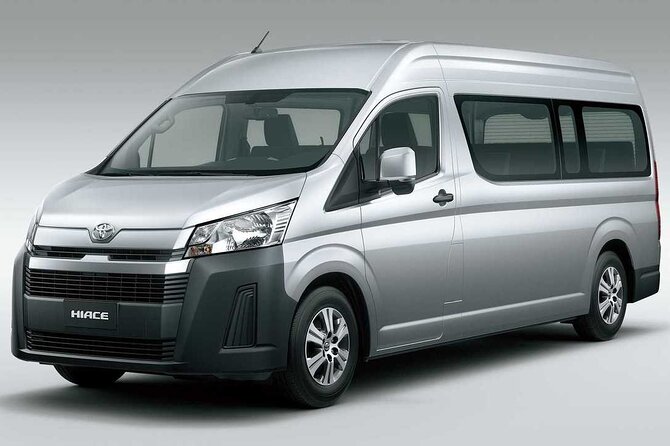 Custom Family and Small Group Transfers for Comfortable Journeys - Why the private format works for families