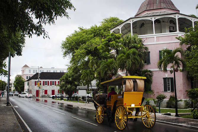 Dilly Dally Walking Tour of Nassau Attractions - Fort Fincastle and the view from above