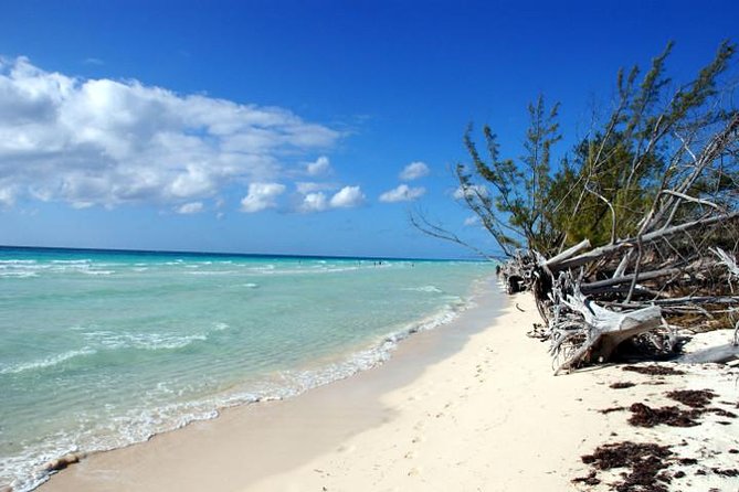 East End Private Day Trip Experience Tour - Key points at a glance