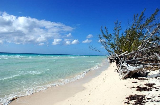 East End Private Day Trip Experience Tour - Taino Beach and conch salad made fresh