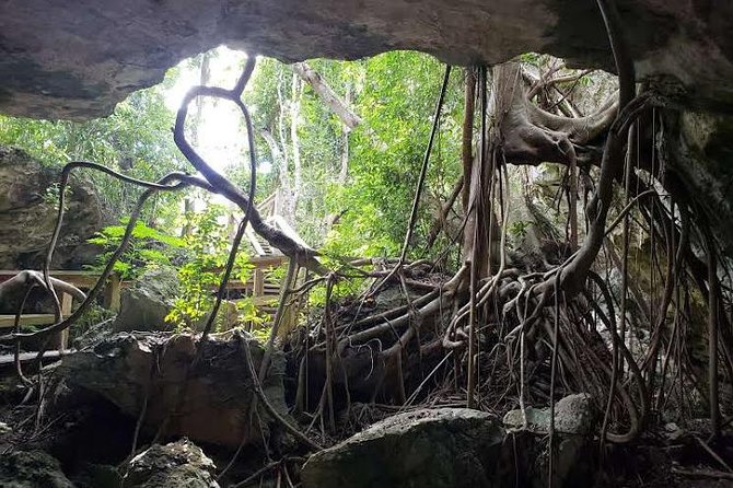 East End Private Day Trip Experience Tour - Garden of the Groves, with an extra admission charge