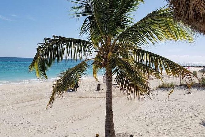 East End Private Day Trip Experience Tour - Lucayan National Park and the Gold Rock Beach break