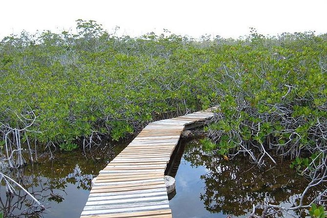East End Private Day Trip Experience Tour - Port Lucaya Marketplace and island culture