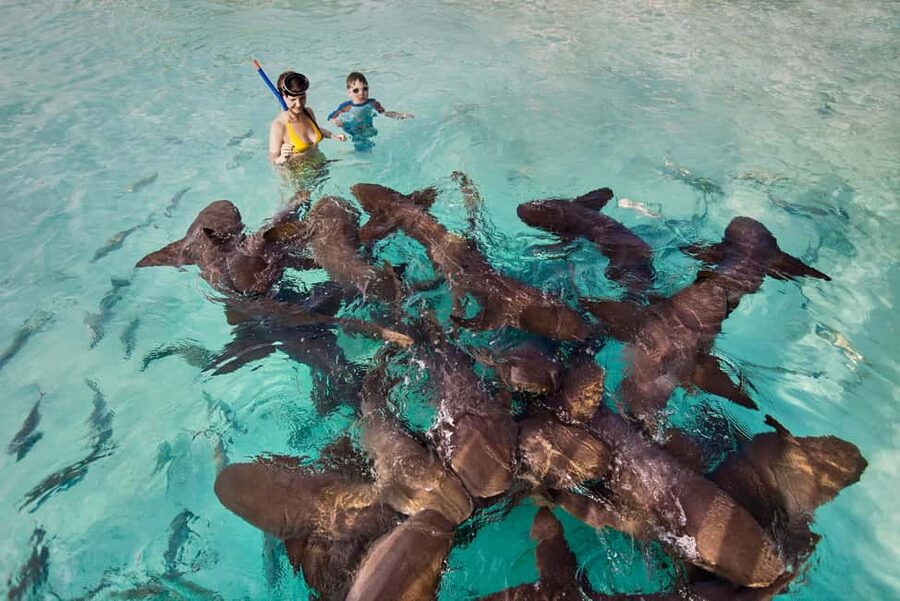 Exclusive Fly-In Premium Beach Experience from Nassau - The 30-minute flight from Nassau