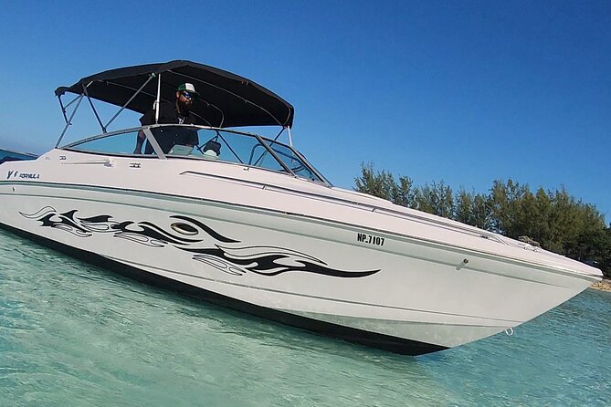Exotic half day private charters to Rose Island, Pigs and Turtles - Why Rose Island makes a good half-day escape