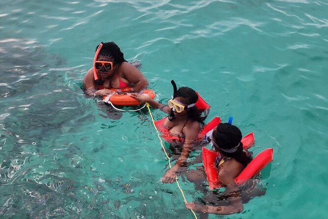 Exotic half day private charters to Rose Island, Pigs and Turtles - Snorkeling and turtle time in clear Bahamian water