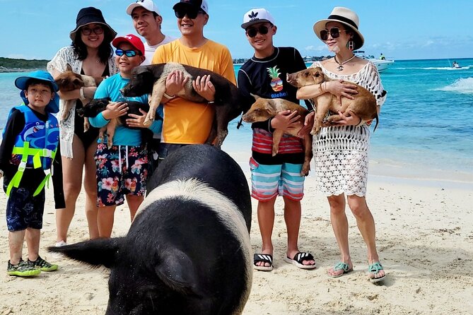 Exotic half day private charters to Rose Island, Pigs and Turtles - The pigs are fun, but budget for the extra charge