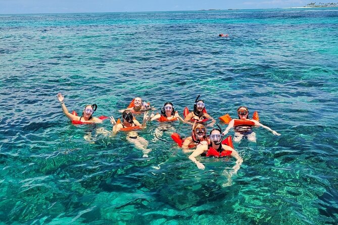 Exotic half day private charters to Rose Island, Pigs and Turtles - A private captain keeps the outing flexible
