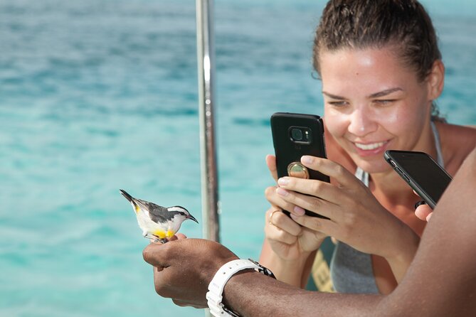 Experience The Exumas and the World Famous Swimming Pigs - Snorkeling over the Norman’s Cay plane wreck