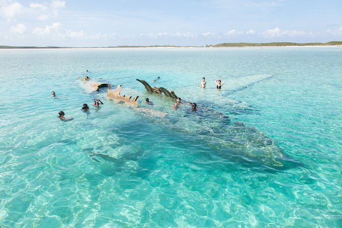 Experience The Exumas and the World Famous Swimming Pigs - Who should book this Exumas day trip?