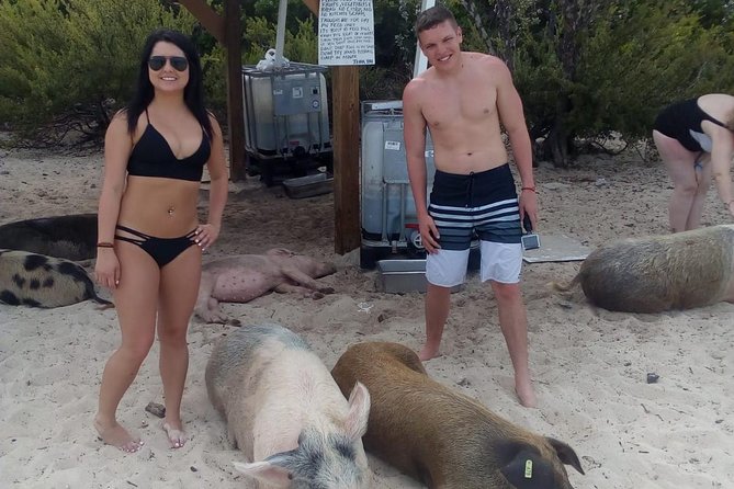 Exuma Day Away - Original Swimming Pigs Excursion - Compass Cay and the nurse shark encounter