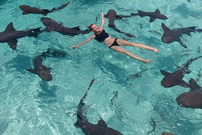 Exuma Day Away - Original Swimming Pigs Excursion - Sandbars and the Exuma Cays Land and Sea Park