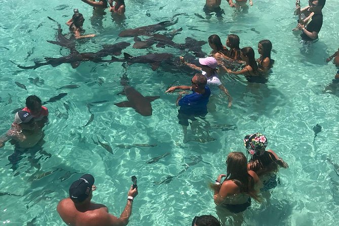 Exuma Day Away - Original Swimming Pigs Excursion - The Pablo Escobar plane wreck near Norman’s Cay