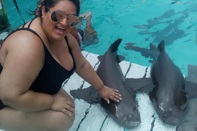 Exuma Day Away - Original Swimming Pigs Excursion - Lunch at Black Point Yacht Club