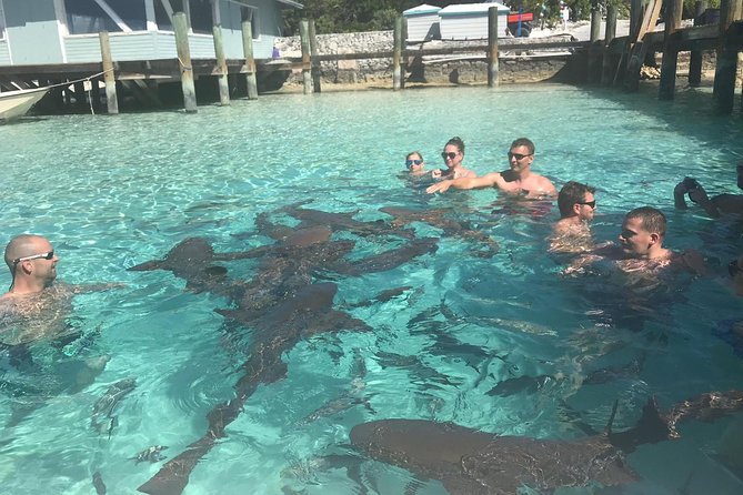 Exuma Day Away - Original Swimming Pigs Excursion - Great Guana Cay and its wild rock iguanas