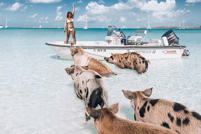 Exuma Elite Escape: Luxury Fly-In Pig Beach Adventure - 7 Stops - At a glance: seven stops and one small plane
