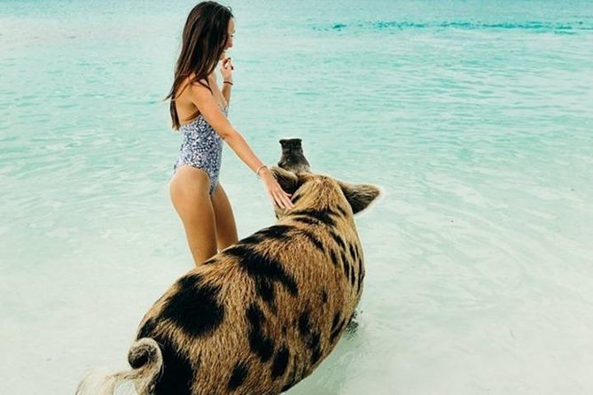 Exuma Elite Escape: Luxury Fly-In Pig Beach Adventure - 7 Stops - Why the flight makes this Exuma day trip work