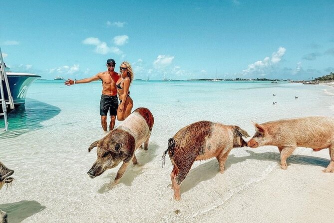 Exuma Full Day Swimming Pigs Group Boat Tour - A Very Full Day From Nassau to the Exumas