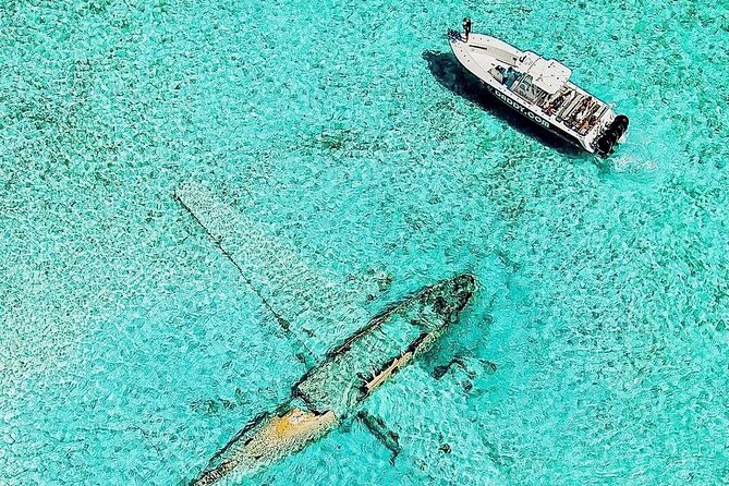 Exuma Full Day Swimming Pigs Group Boat Tour - Allen Cay and Its Ancient Rock Iguanas