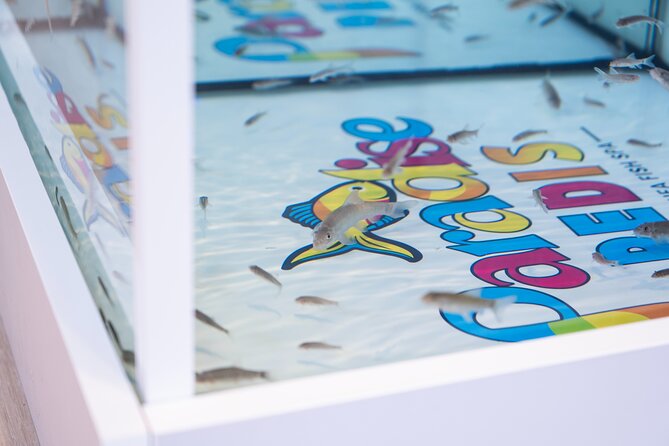 Fish, Fun & Feet – Caribbean’s Largest Fish Spa Experience! - Drinks, Music, and the Optional Massage Chair