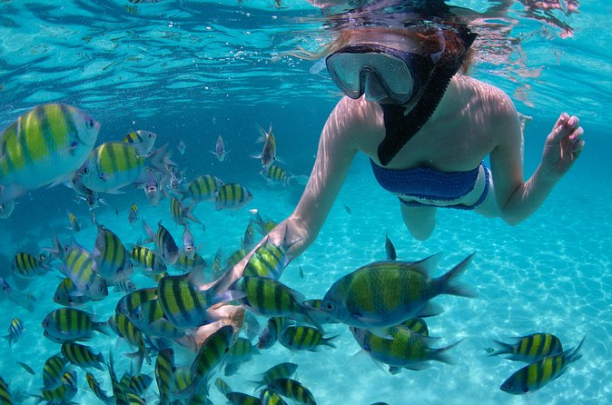 Freeport Snorkeling Peterson Cay National Park and Hotel Day Pass - How long does the tour really take?