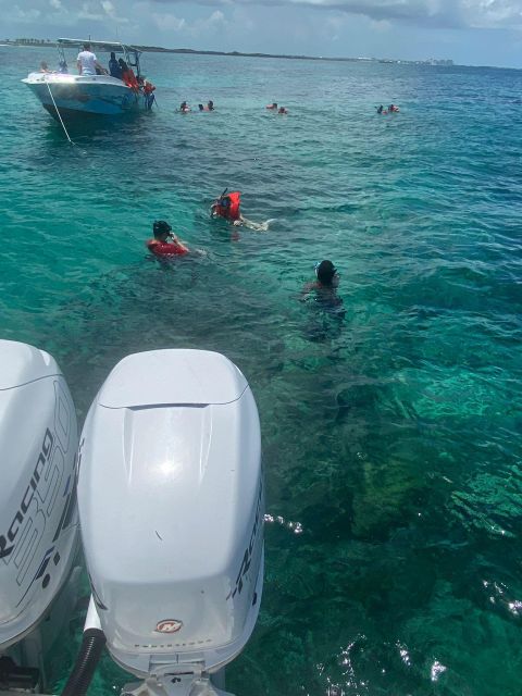 From Nassau: Swim with Pigs Safari - Who should book this experience