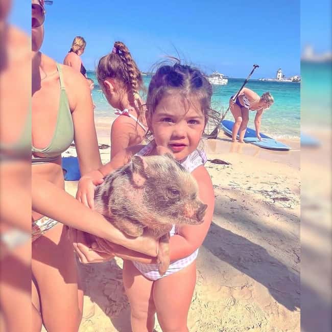 From Nassau: Swim with Pigs Safari - Should you book the Swimming Pigs Safari?