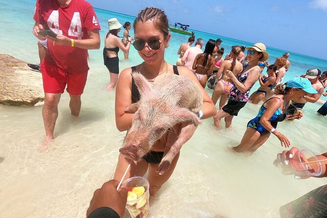 Full-Day Luxury Private Rose Island Pigs and Turtles Excursion - Key points to know before you book