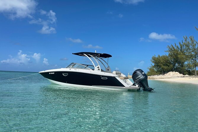Full-Day Luxury Private Rose Island Pigs and Turtles Excursion - Rose Island for pigs, sand, and open time