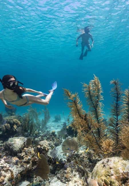 Full Day Sail and Snorkel with Turtles