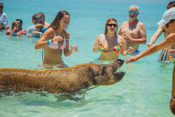 Guided All Inclusive Beach Day Excursion in Bahamas - A half-day escape from Nassau to Rose Island