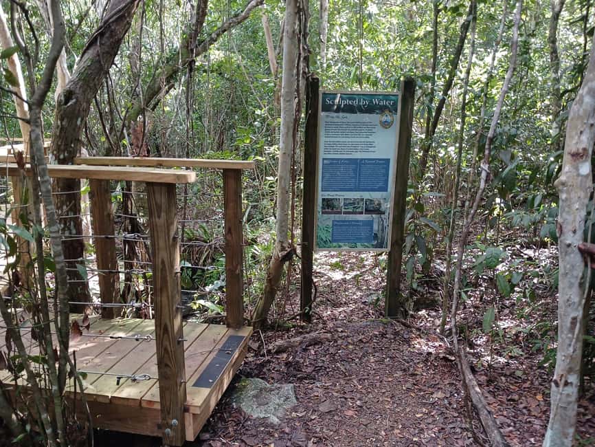 Guided Primeval Nature Walk Tour - Why this Nassau tour feels different