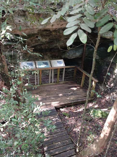 Guided Primeval Nature Walk Tour - Thirty minutes at Jaws Beach