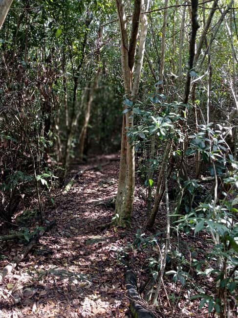Guided Primeval Nature Walk Tour - What the $140 price includes
