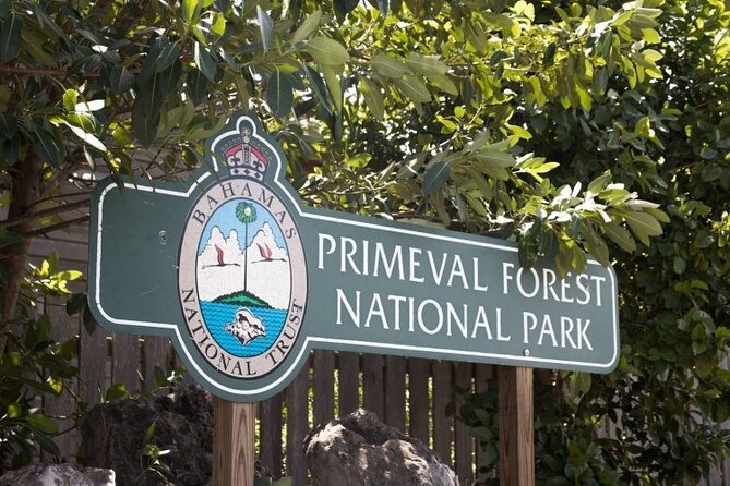 Guided Primeval Nature Walk Tour in Primeval Forest National Park - Key points at a glance