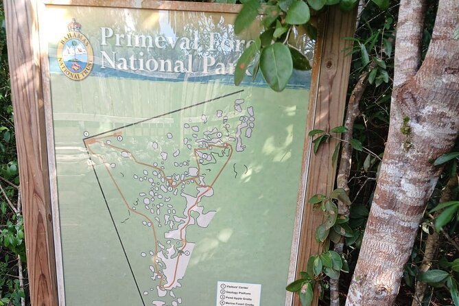 Guided Primeval Nature Walk Tour in Primeval Forest National Park - The Caves of New Providence set the tone