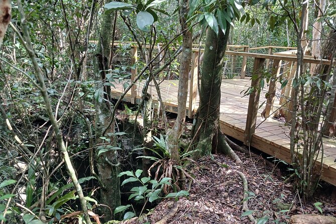 Guided Primeval Nature Walk Tour in Primeval Forest National Park - Clifton Heritage National Park adds the human story
