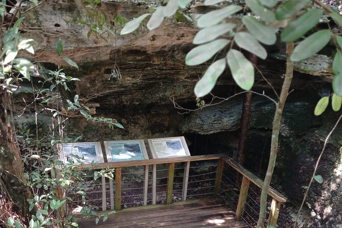 Guided Primeval Nature Walk Tour in Primeval Forest National Park - Jaws Beach offers a short pause by the water