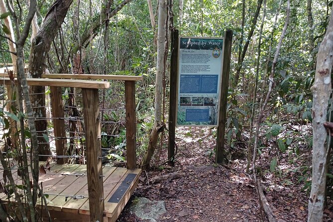 Guided Primeval Nature Walk Tour in Primeval Forest National Park - Primeval Forest National Park is the main nature stop