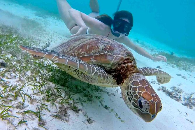 Half-Day at Green Cay Bahamas Snorkeling with Turtles - Green Cay gives you several ways to enjoy the hour