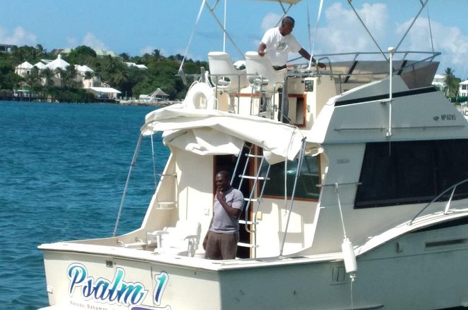 Half-Day at Green Cay Bahamas Snorkeling with Turtles - Who will like this Nassau excursion most