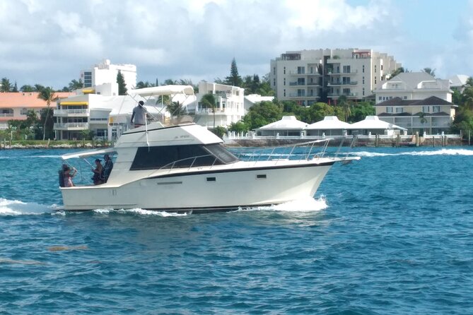 Half-Day at Green Cay Bahamas Snorkeling with Turtles - Gilligan’s Island adds a light, nostalgic break